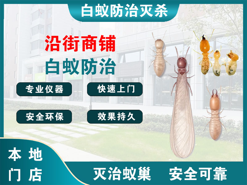 龙湾沿街商铺白蚁防治