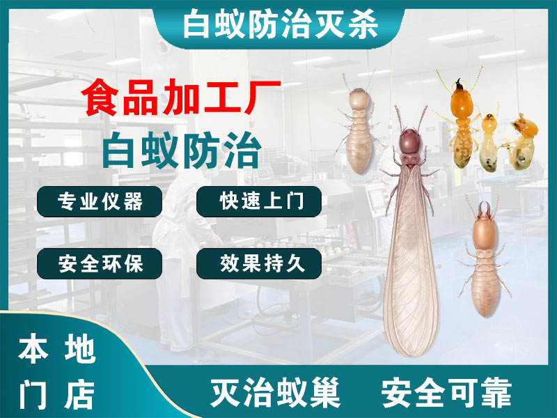 龙湾食品加工厂白蚁防治
