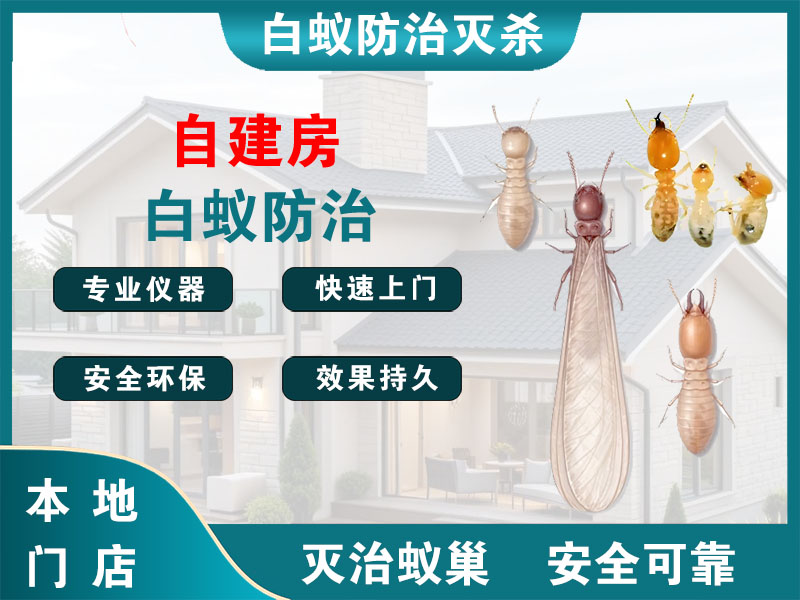 龙湾自建房白蚁防治
