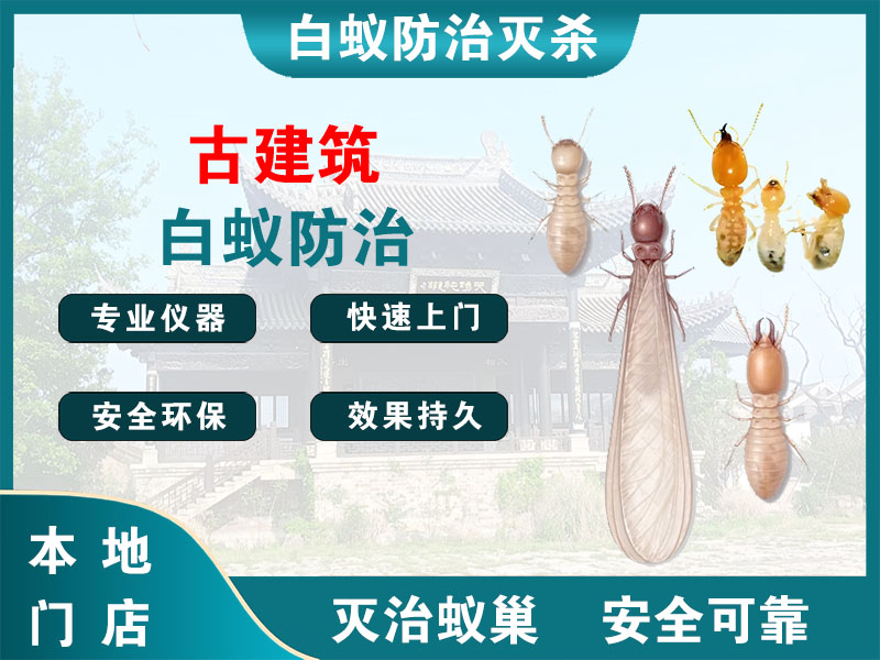 龙湾古建筑白蚁防治