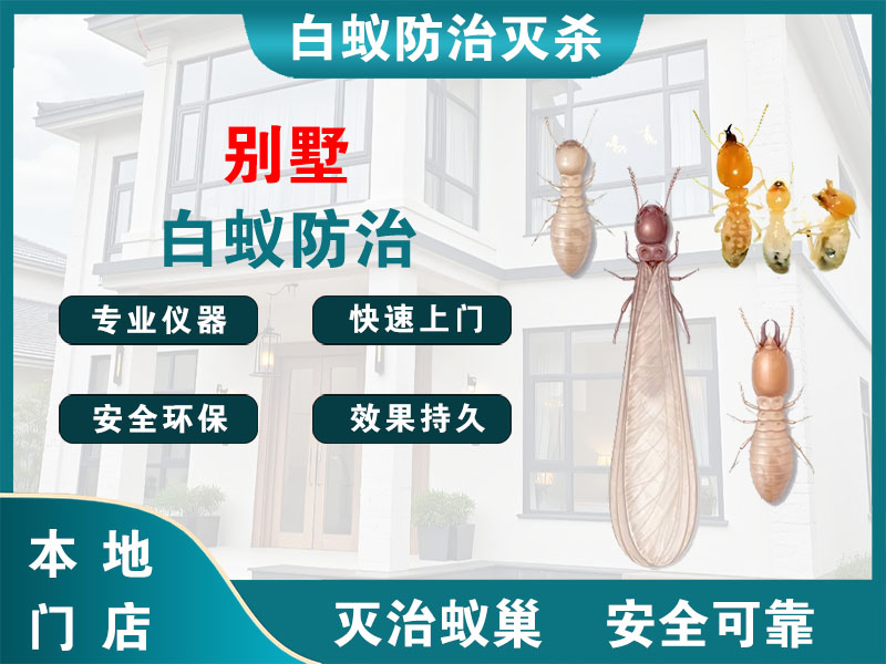 龙湾别墅白蚁防治